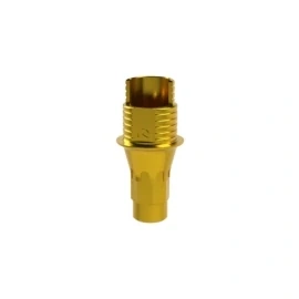 Indexovaná titanová báze 31.313.223.01-2